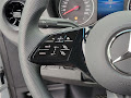 2025 Mercedes-Benz Sprinter 3500 Cargo 170 WB