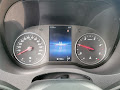 2025 Mercedes-Benz Sprinter 3500 Cargo 170 WB