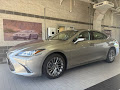 2019 Lexus ES 300h