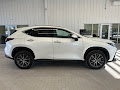 2024 Lexus NX 350 Base