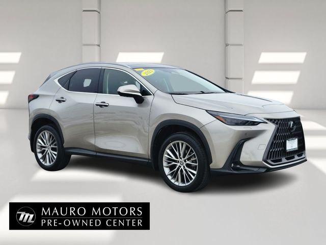 2023 Lexus NX 350 Luxury