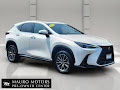 2024 Lexus NX 350h Premium