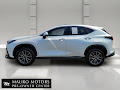 2024 Lexus NX 350h Premium