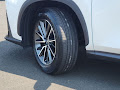 2024 Lexus NX 350h Premium