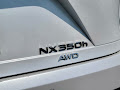 2024 Lexus NX 350h Premium