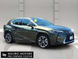 2025 Lexus UX 300h Premium