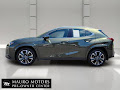2025 Lexus UX 300h Premium