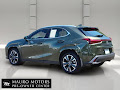 2025 Lexus UX 300h Premium