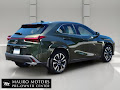 2025 Lexus UX 300h Premium
