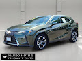 2025 Lexus UX 300h Premium