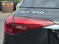 2025 Mercedes-Benz GLE GLE 350