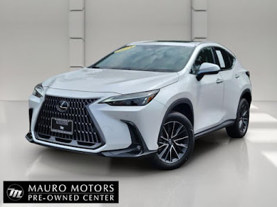2024 Lexus NX