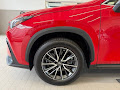 2023 Lexus NX 250 Base