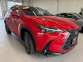 2023 Lexus NX 250 Base