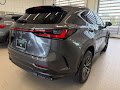 2022 Lexus NX 350 Premium