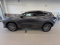 2022 Lexus NX 350 Premium