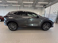2022 Lexus NX 350 Premium